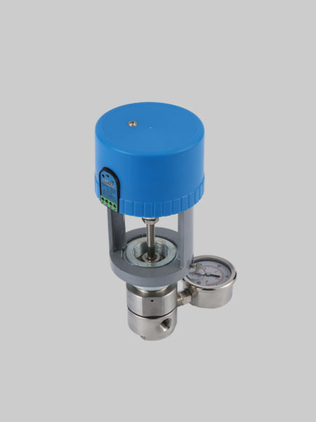 電動(dòng)背壓閥